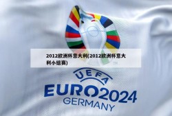 2012欧洲杯意大利(2012欧洲杯意大利小组赛)