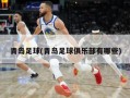 青岛足球(青岛足球俱乐部有哪些)