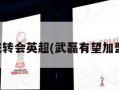 武磊或转会英超(武磊有望加盟英超)