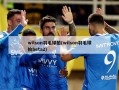 wilson羽毛球拍(wilson羽毛球拍beta2)