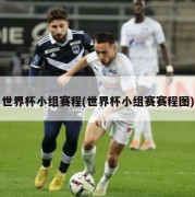 世界杯小组赛程(世界杯小组赛赛程图)