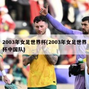 2003年女足世界杯(2003年女足世界杯中国队)