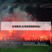 足球赔率(足球欧赔指数网站)