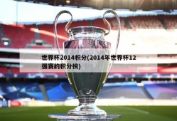 世界杯2014积分(2014年世界杯12强赛的积分榜)