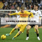羽毛球球拍(羽毛球球拍哪个牌子好用)