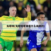 戈塔特(戈塔特电锤是什么级别的)