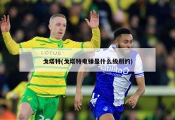 戈塔特(戈塔特电锤是什么级别的)