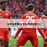 公牛队罗斯(公牛队罗斯去哪了)