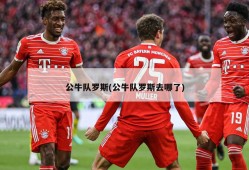 公牛队罗斯(公牛队罗斯去哪了)