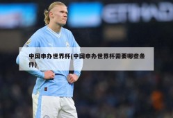中国申办世界杯(中国申办世界杯需要哪些条件)