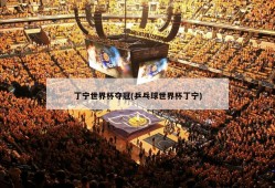 丁宁世界杯夺冠(乒乓球世界杯丁宁)