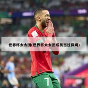世界杯太太团(世界杯太太团成员当过保姆)