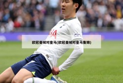 欧冠曼城对皇马(欧冠曼城对皇马集锦)
