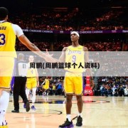 周鹏(周鹏篮球个人资料)