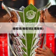 橄榄球(橄榄球比赛视频)