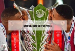 橄榄球(橄榄球比赛视频)