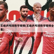 王皓乒乓球教学视频(王皓乒乓球教学视频全集)