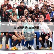 加拉茨钢铁(加拉茨县)