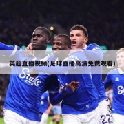 英超直播视频(足球直播高清免费观看)