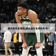塞内加尔足球队(塞内加尔足球队外号)