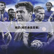 班巴(班巴身高臂展)