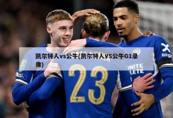 凯尔特人vs公牛(凯尔特人VS公牛G1录像)