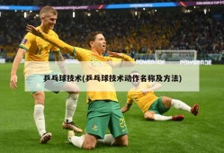 乒乓球技术(乒乓球技术动作名称及方法)