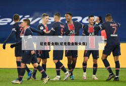 尼克詹金斯(尼克詹金斯头像)