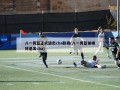 八一男篮正式退出cba联赛(八一男篮被曝将退出cba)