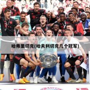 哈弗里切克(哈夫利切克几个冠军)