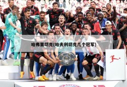 哈弗里切克(哈夫利切克几个冠军)