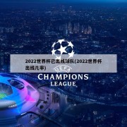 2022世界杯已出线球队(2022世界杯出线几率)
