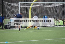世界杯收视率太可怕了(世界杯收视率全球多少亿人)