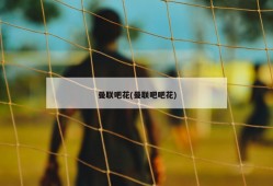 曼联吧花(曼联吧吧花)