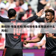 斯科特-布鲁克斯(斯科特布鲁克斯战术什么风格)