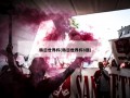 韩日世界杯(韩日世界杯8强)