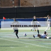 塔希提国家足球队(塔希提联赛)