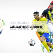 wilson网球(wilson网球包)