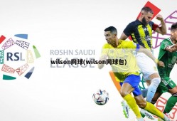 wilson网球(wilson网球包)