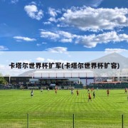 卡塔尔世界杯扩军(卡塔尔世界杯扩容)