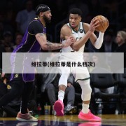 维拉蒂(维拉蒂是什么档次)