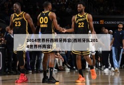 2014世界杯西班牙阵容(西班牙队2014世界杯阵容)
