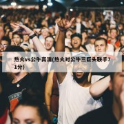 热火vs公牛高清(热火对公牛三巨头联手71分)
