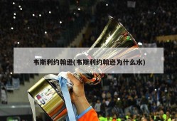 韦斯利约翰逊(韦斯利约翰逊为什么水)