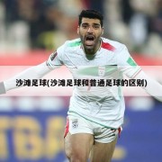 沙滩足球(沙滩足球和普通足球的区别)