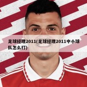 足球经理2011(足球经理2011中小球队怎么打)